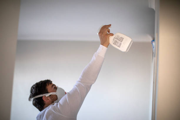 Best Black Mold Removal  in Lima, PA